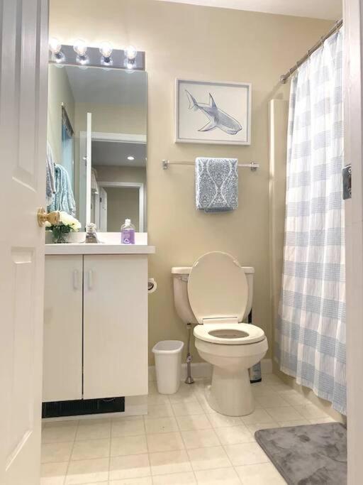 Spacious 3Br 3Ba Sleeps 8 Ski On Off Jiminy Mountain Resort 汉考克 外观 照片