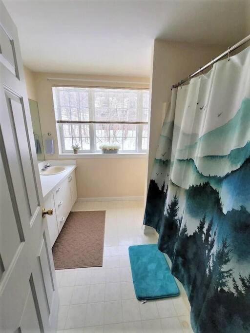 Spacious 3Br 3Ba Sleeps 8 Ski On Off Jiminy Mountain Resort 汉考克 外观 照片